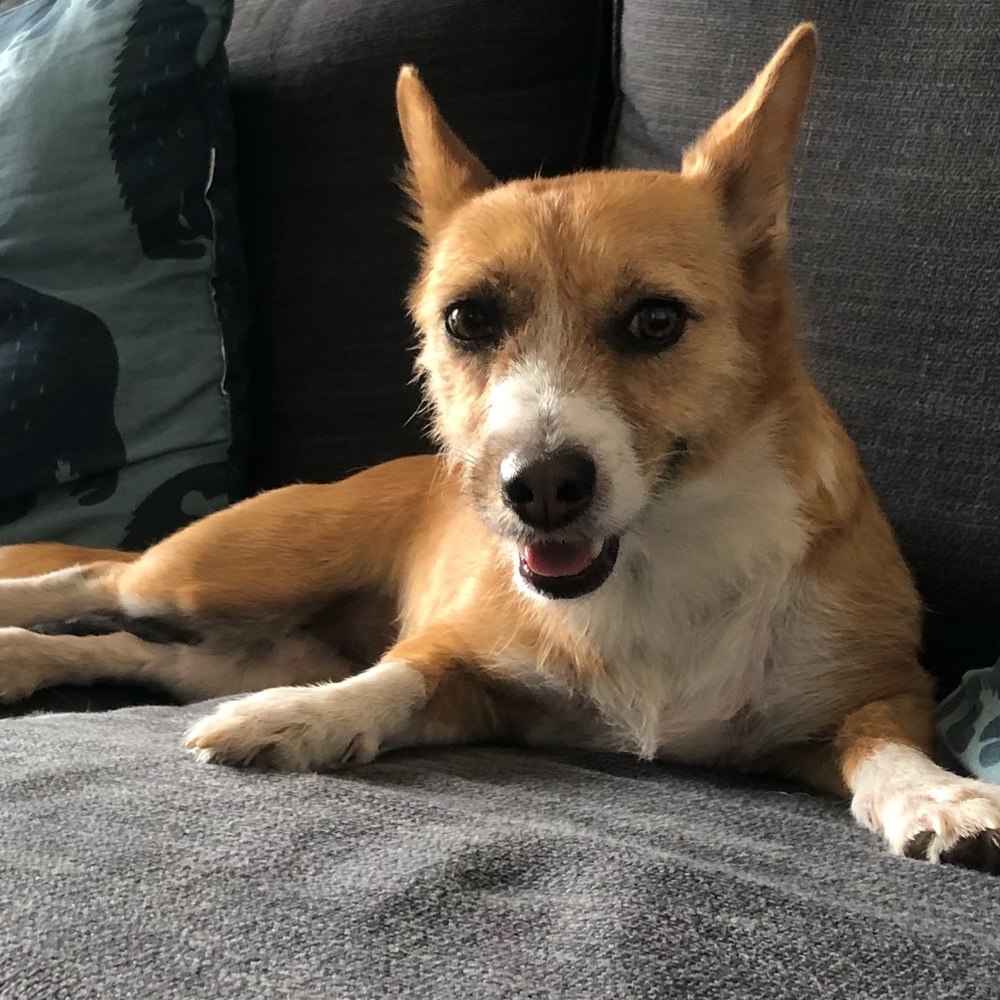 Meet your Posher, Bri